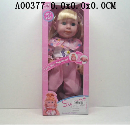 Doll with ic