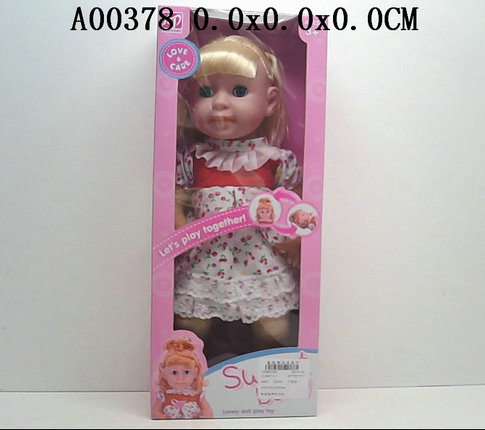 Doll with ic