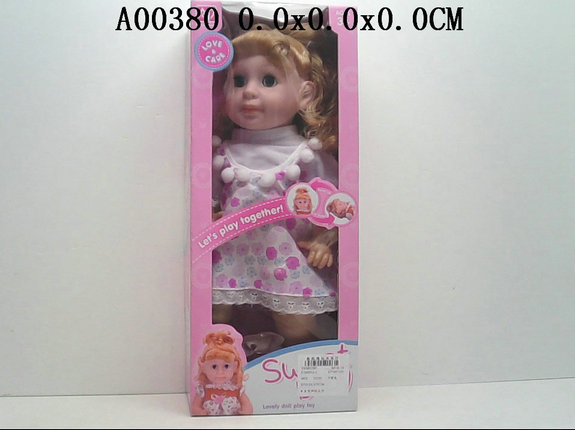 Doll with ic