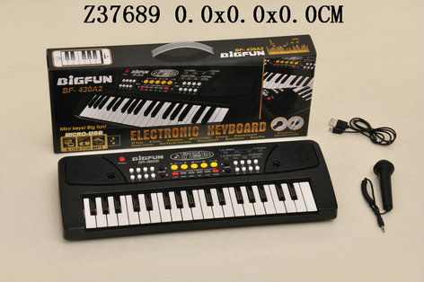 37Key electronic organ